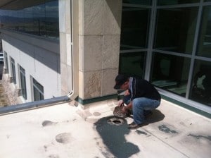 Inspection Resized 2